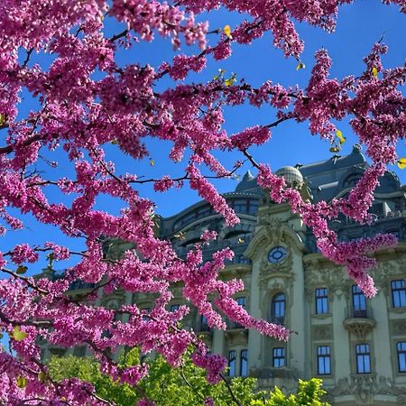 Domik na Fontane Hotel Oldenburg Bagian luar foto